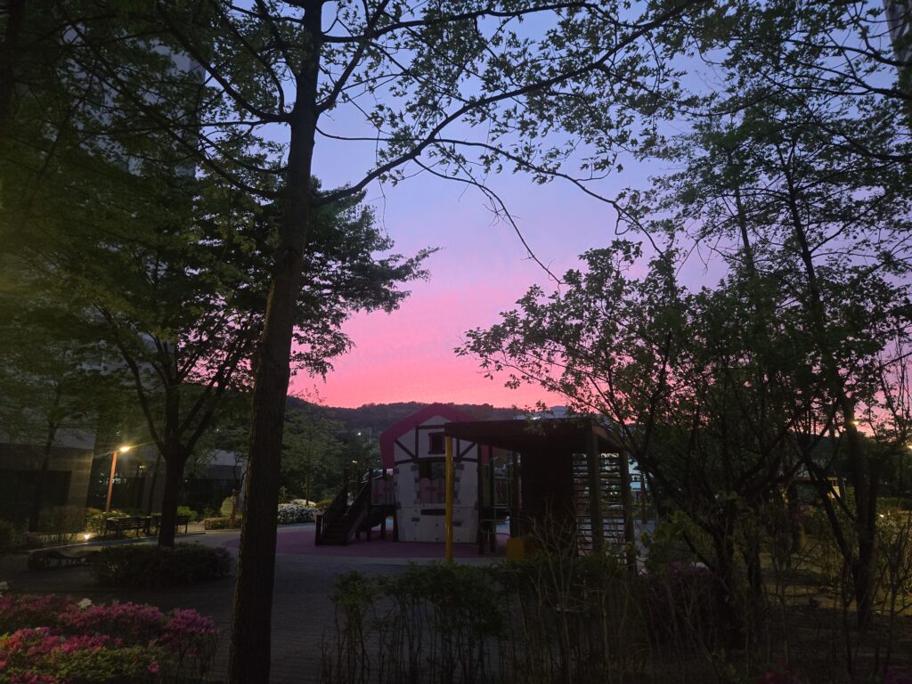 아파트 단지 나무 사이로 보이는 환상적인 핑크빛과 보랏빛 노을 하늘, 운동 중 멈춰 서서 바라본 평온한 저녁 풍경